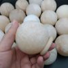 دکوری و درمانگر گوی سنگ نمک اصل معدنی به همراه پایه کد 8970